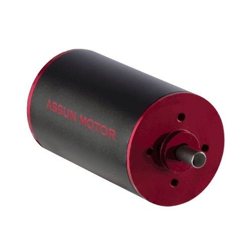 Бесколлекторный двигатель Assun Motor